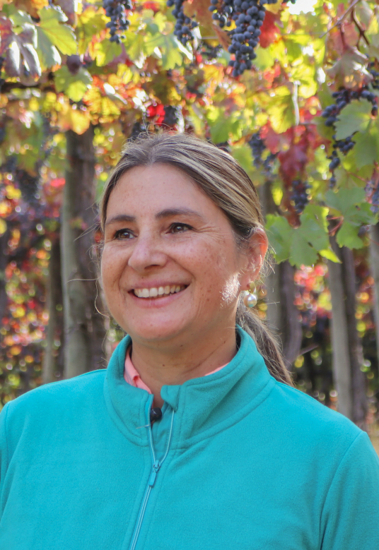 producers-carousel-10