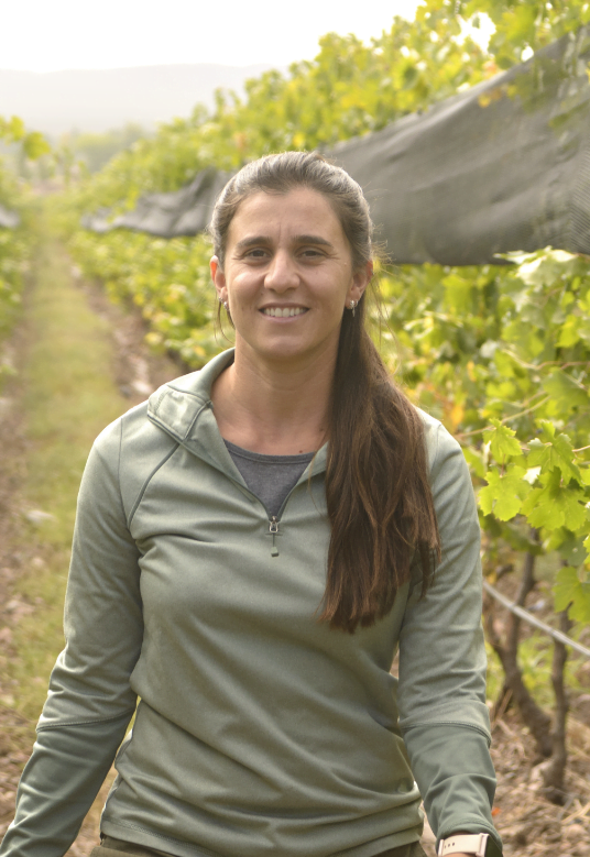 producers-carousel-2