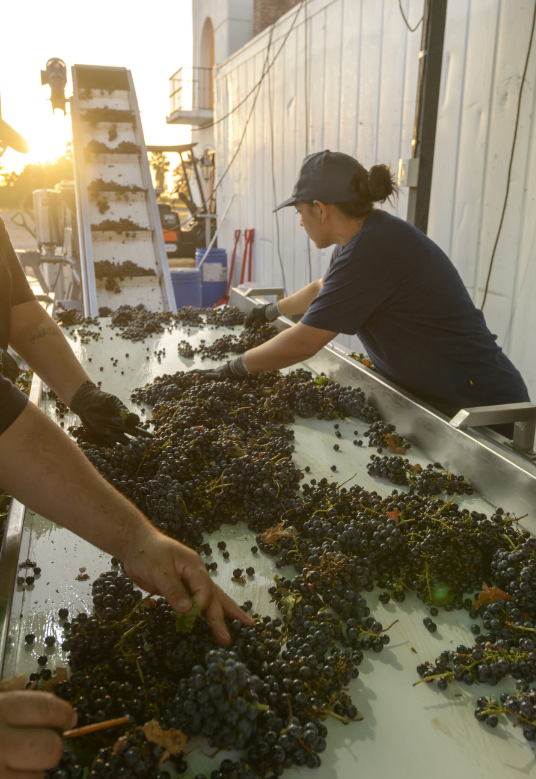 producers-carousel-3